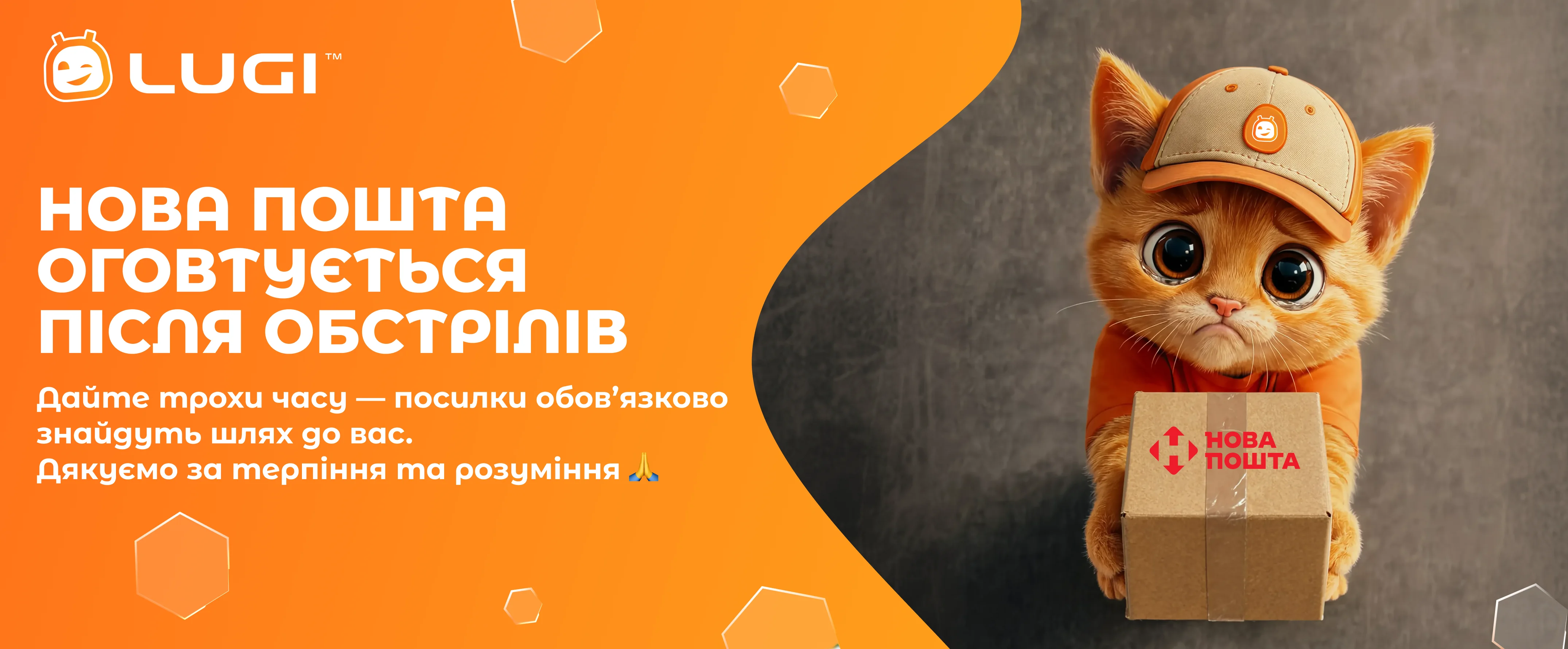shodene_onovlenia